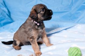_DSC1423 (1).jpg