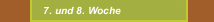 7. und 8. Woche